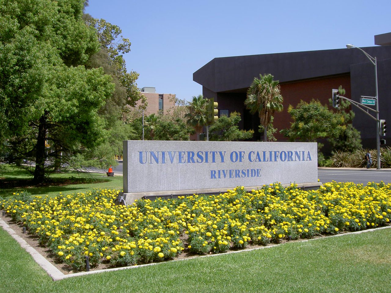University of California, Riverside campus