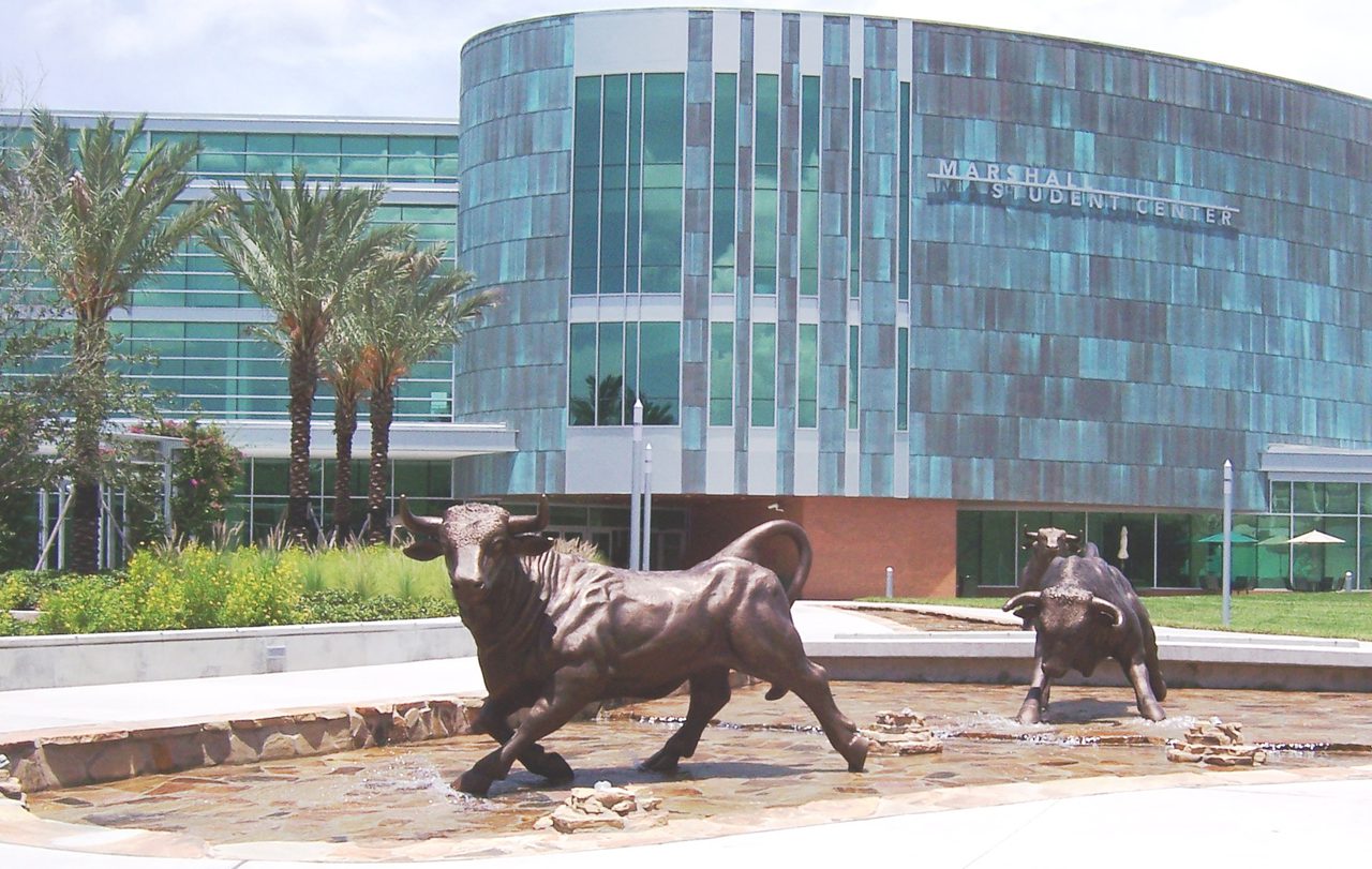 University of South Florida campus