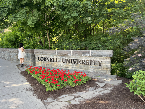 Cornell University logo